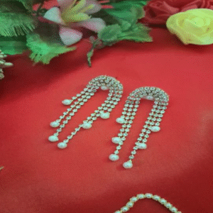 Party Wear Stud Earring