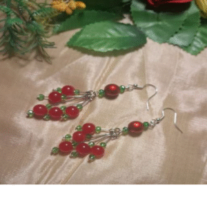 Stunning Red Stone Earring