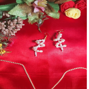 Daily wear Earring